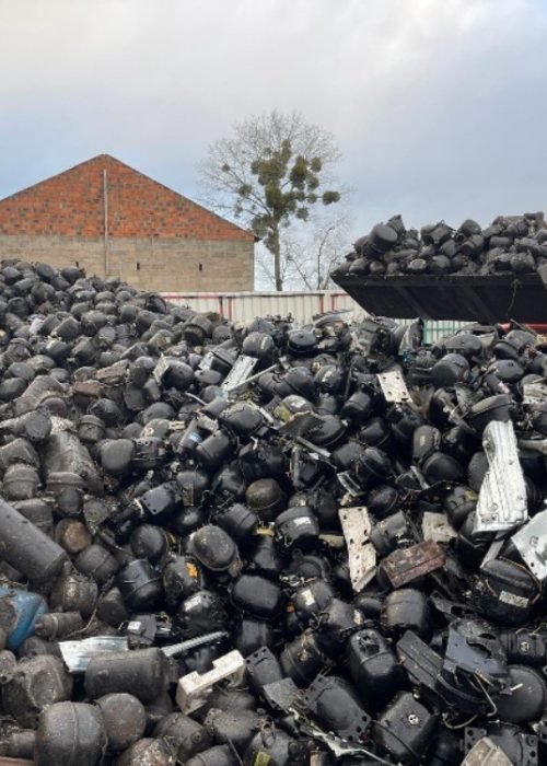 WhatsApp Image 2025-02-12 at 5.20.30 PM