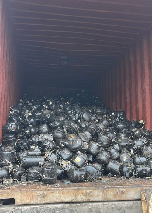 WhatsApp Image 2025-02-12 at 5.20.33 PM